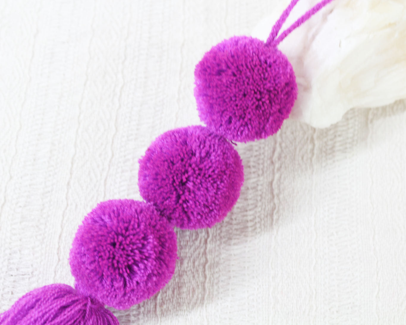 Pompones 3 Violeta